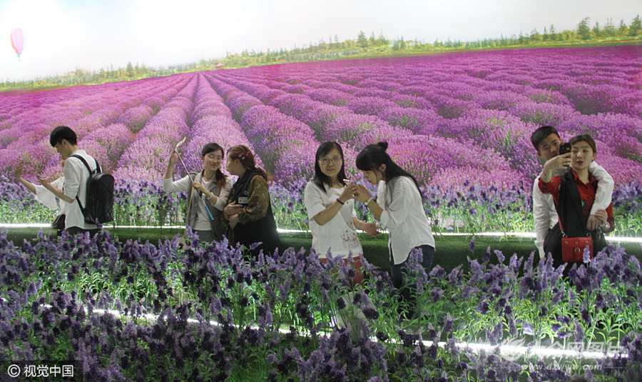 4��30������ɽ�|����Ȫ��·����һ�̈��T�ھ޷�޹�²ݻ������پ�����������������ǰ����������M����һ�S����һЩ����]���h;���������Լفy��Į���ӛ����֙C�в��٘�Ȥ��