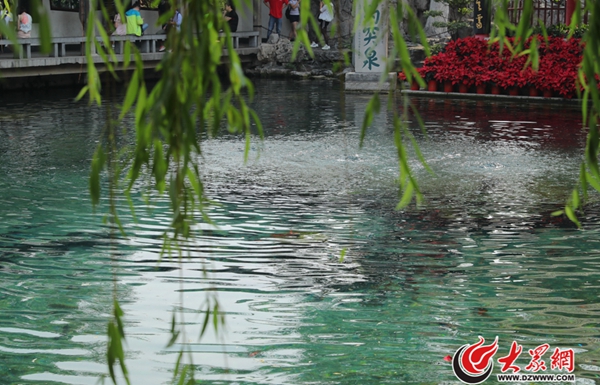 2���M(j��n)��5�·�����ͻȪˮλ��һֱ��27.90����28.01��֮�g�ǻ���һֱ���Ƴ�ɫ���侀���󱊾W(w��ng)ӛ�� ���L(zh��ng)�� �z_����.jpg