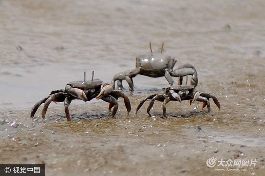 2017��7��7�������u�����S���˳�����(sh��)���fӋ�����ڞ�Ϳ�ϵ��з�͏�Ϳ�~�߳�����������ˮ�д���Ғʳ�����ڔ�(sh��)���������ܼ�����ε����^��