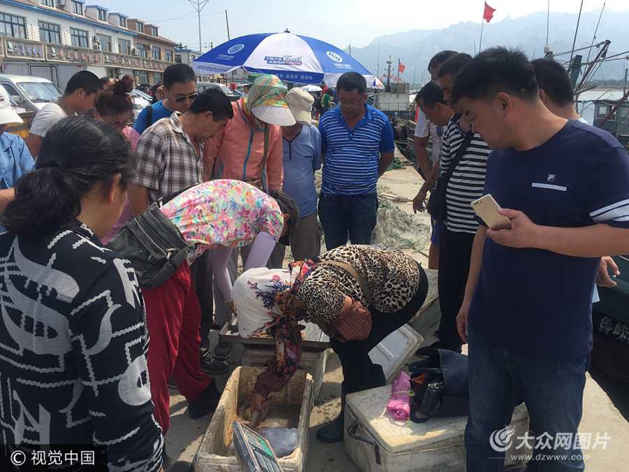 2017��9��1�������u����(sh��)�ĸۖ|�O�a�^�_��ʢ�r��Ŀǰ������4��(g��)�µ��ݝO���ѽY(ji��)�������н�600��vʷ��λ�����u�Ѝ�ɽ�^(q��)�����f�ֵ��ĸۖ|�O�a�^9��1������12�c(di��n)��ʽ�_����