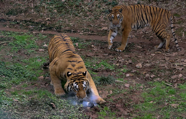 �f(w��n)Ԫ�o(w��)�˙C(j��)�����ϻ� ��һ�Ɠ���ð�⟟