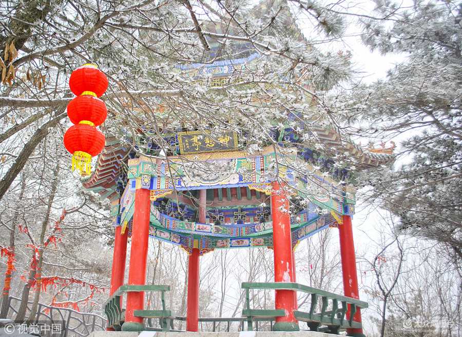 2018��2��21����ɽ�|�R��������(ji��)���ڵ����һ�������S����ѩ���R������ɽ���ɾ��^(q��)���F����ѩ�Fڡ���^��