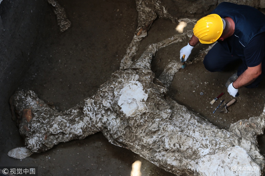 ��(d��ng)?sh��)ؕr(sh��)�g2018��5��10�������������ؐ�ų��zַ�°l(f��)�����S�����������{���Ņ^(q��)���������ˆT�����ھ�ĵص���(n��i)���l(f��)�F(xi��n)��һ�����R�Ě������@�������ɹ�Ԫ79��S�K����ɽ���l(f��)��ɵ���