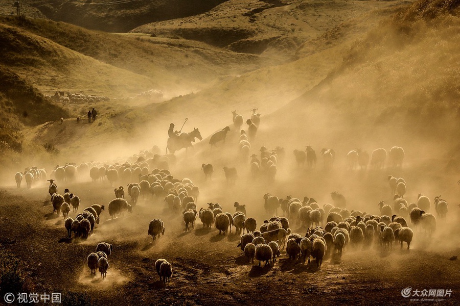 ��?sh��)ؕr�g2018��6��14���������������˹ʡ�����f����������s��Ⱥ��(j��ng)�^��(n��i)ķ����ɽ�ߵؾ����m��������^��