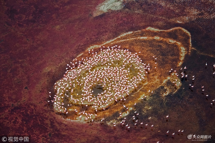 ��?sh��)ؕr�g2018��6��20�������޿��၆��̹ɣ�၆߅�磬53�q�������I(y��)���zӰ��Hao Jiang�R�^���ڼ{��¡���ۼ��Ļ����B�M����һֻ����ħ���۾�����