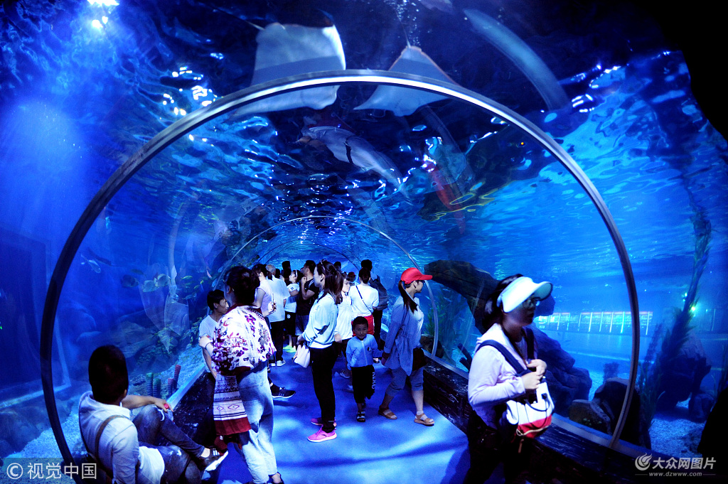 2018��7��7������ֵ��ٵ�һ��(g��)�p���������K�B�Ƹ��к�������ӭ�����S���W(xu��)���ο�������:����/ҕ�X�Ї�