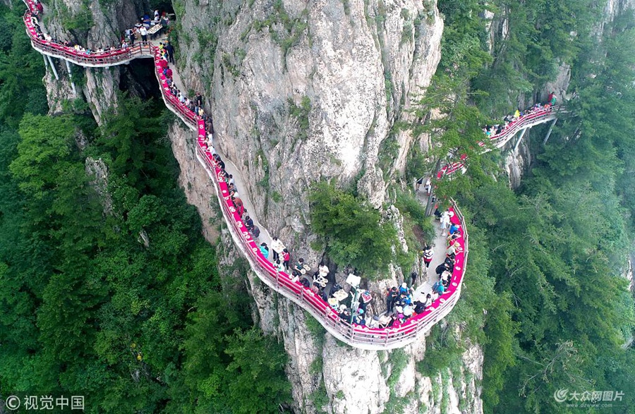 2018��7��8������������Ͼ�ɽ�e���^�����(ji��)���ڰ�ɽ������2000�׵đ������ϰ�����һ�����ƺ�ʢ�硱���O�����M��ͣ�׌�����MƷ�LĢ��ɽ�������r���r��ˮ�������r��֭�������c�ĵ���