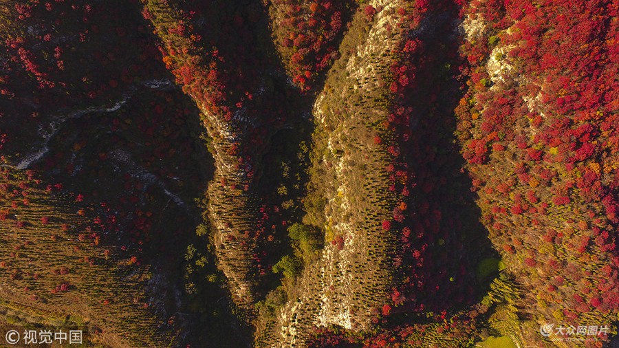 2018��10��18����ɽ�|�Ͳ�����Դ�h�P��ɽ��ɽ�t�~��