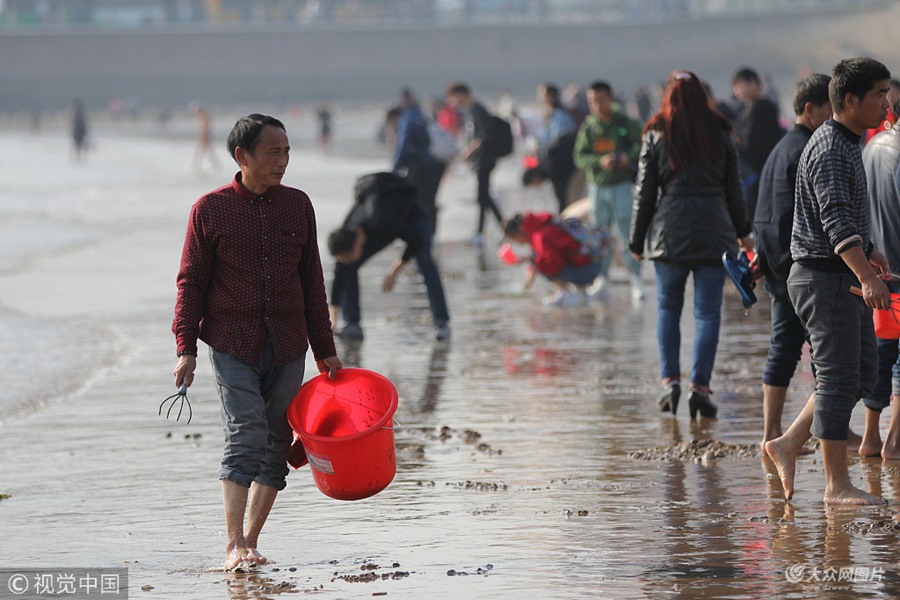 2018��11��9�������u�� �˂������u���򺣞��s��ץ�з��