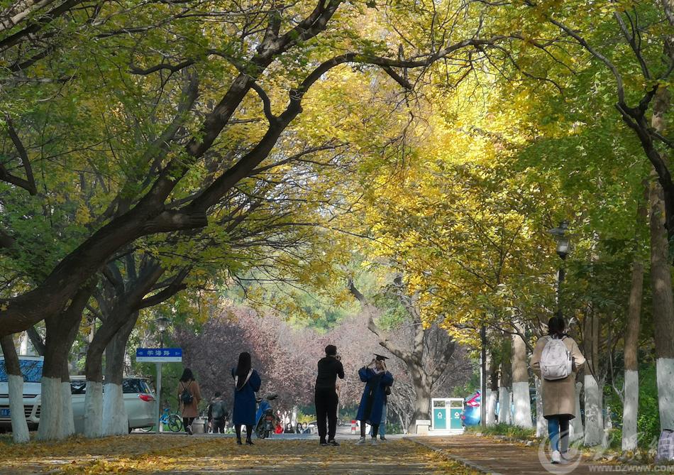 �D1 ���^(gu��)������ɽ������·��׃У�@�򿨄ٵ� �󱊾W(w��ng)ӛ�� ����.jpg