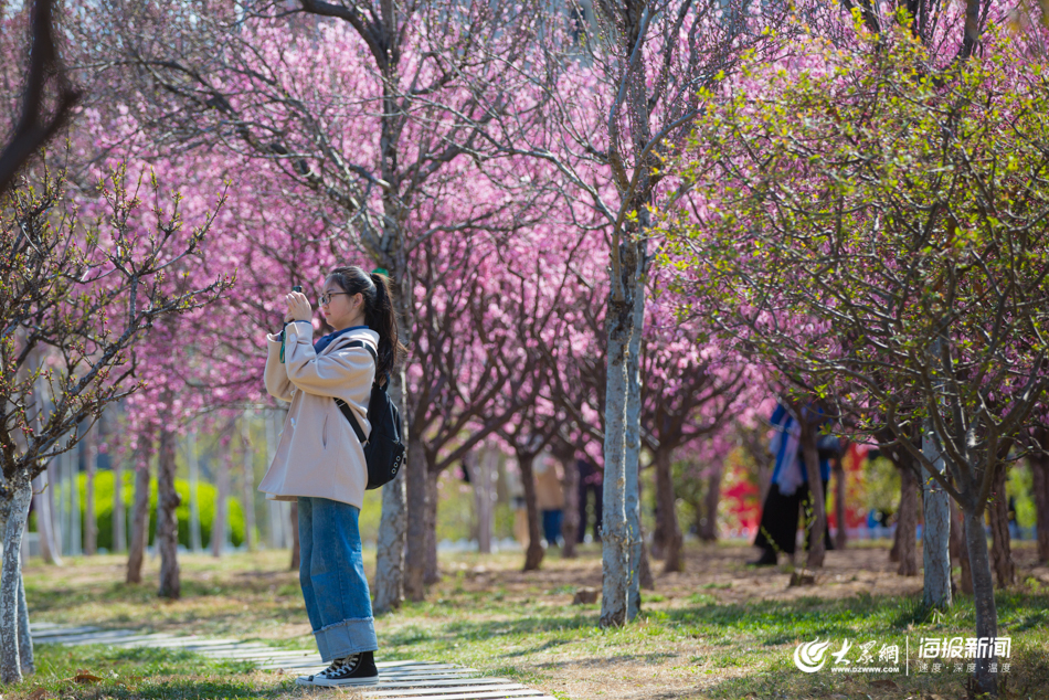 �D2 �ڝ�(j��)�ϴ�W(xu��)���mԷ�����_(k��i)�M�@���S��ͬ�W(xu��)�v����������.jpg